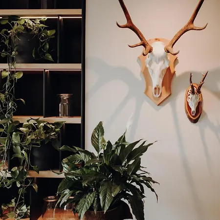 Hotel Langwies Genussherberge 4*