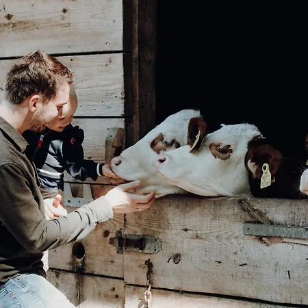 Langwies Genussherberge Otel