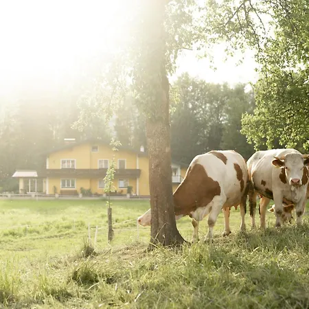 Langwies Genussherberge Otel