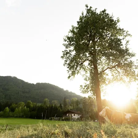 Otel Langwies Genussherberge Hallein