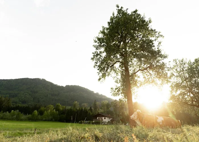 Szálloda Langwies Genussherberge Hallein